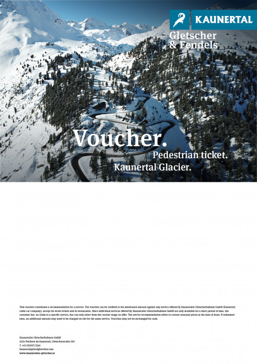 Kopie_1_Pedestrian Ticket